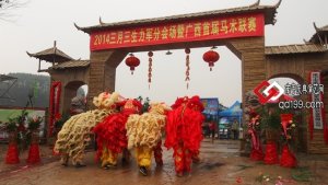 民樂(lè)隊(duì)迎賓、醒獅迎賓、南寧舞龍醒獅表演